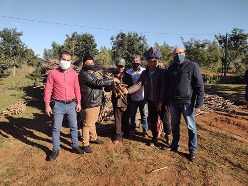 Secretaria de Agropecuária distribui ramas de mandioca para o plantio em aldeia indígena