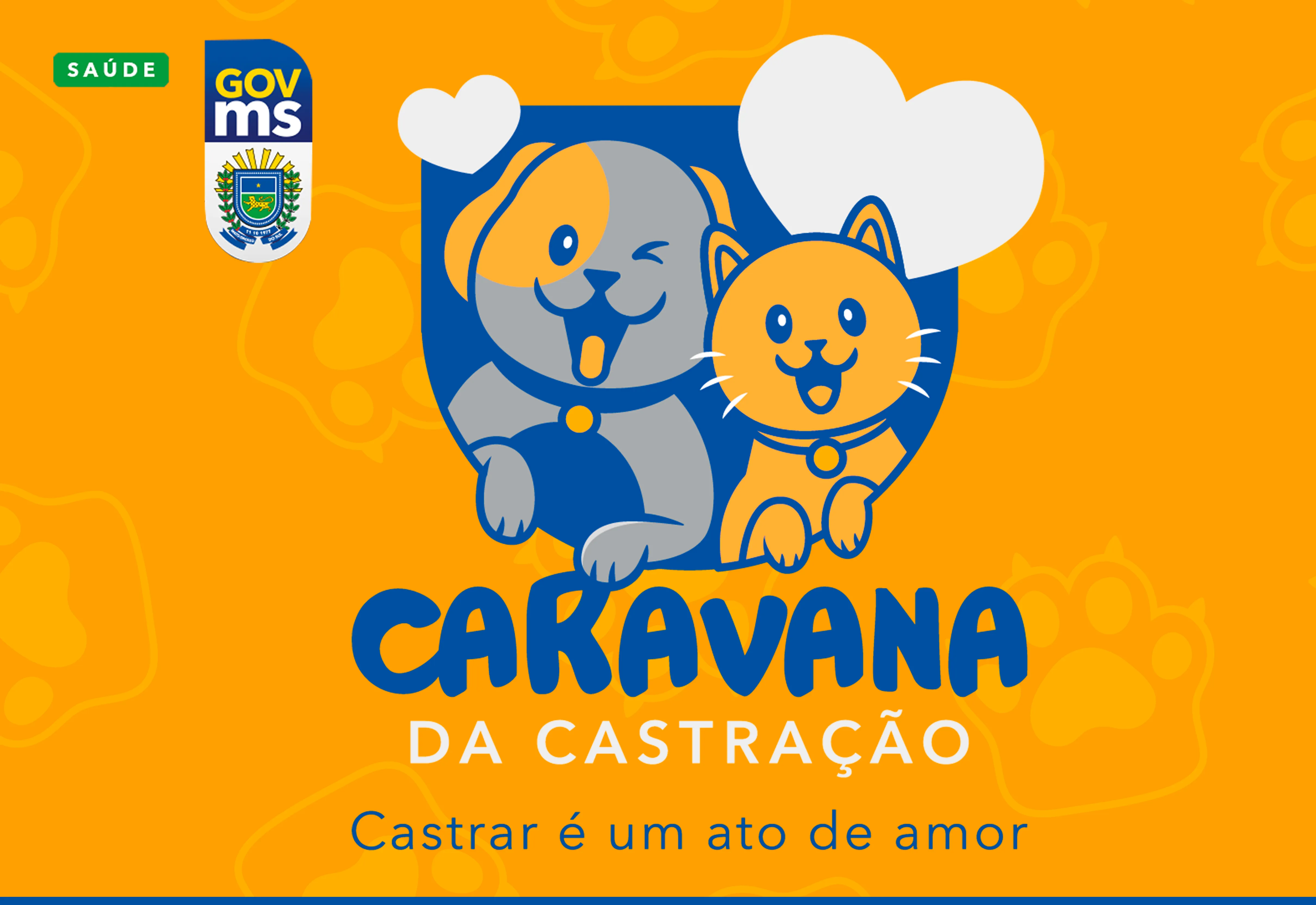 Caravana da Castração chega a Amambai com atendimentos gratuitos para cães e gatos