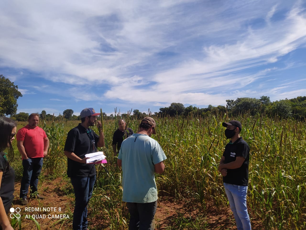 Secretaria de Agricultura e Pecuária de Amambai realiza Dia de Campo