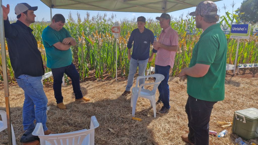 Prefeitura de Amambai prestigia dias de campo voltados à agricultura e pecuária