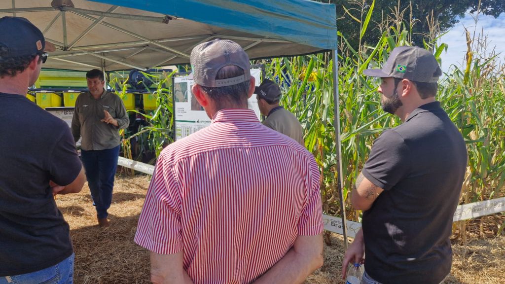 Prefeitura de Amambai prestigia dias de campo voltados à agricultura e pecuária