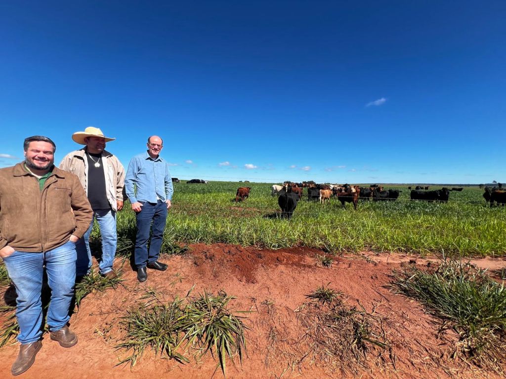 Prefeitura de Amambai prestigia dias de campo voltados à agricultura e pecuária